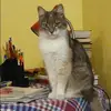 Отзыв от Анфиса Звягинцева